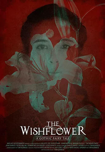 film poster